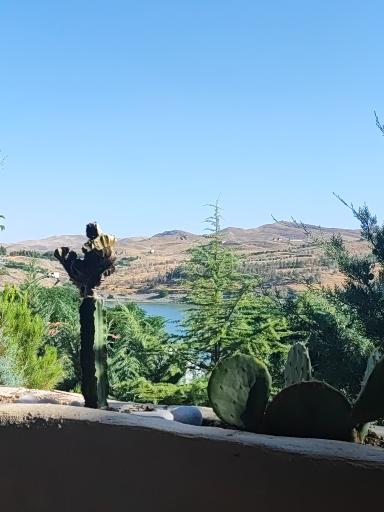 عکس کافه رستوران مت کامپلکس