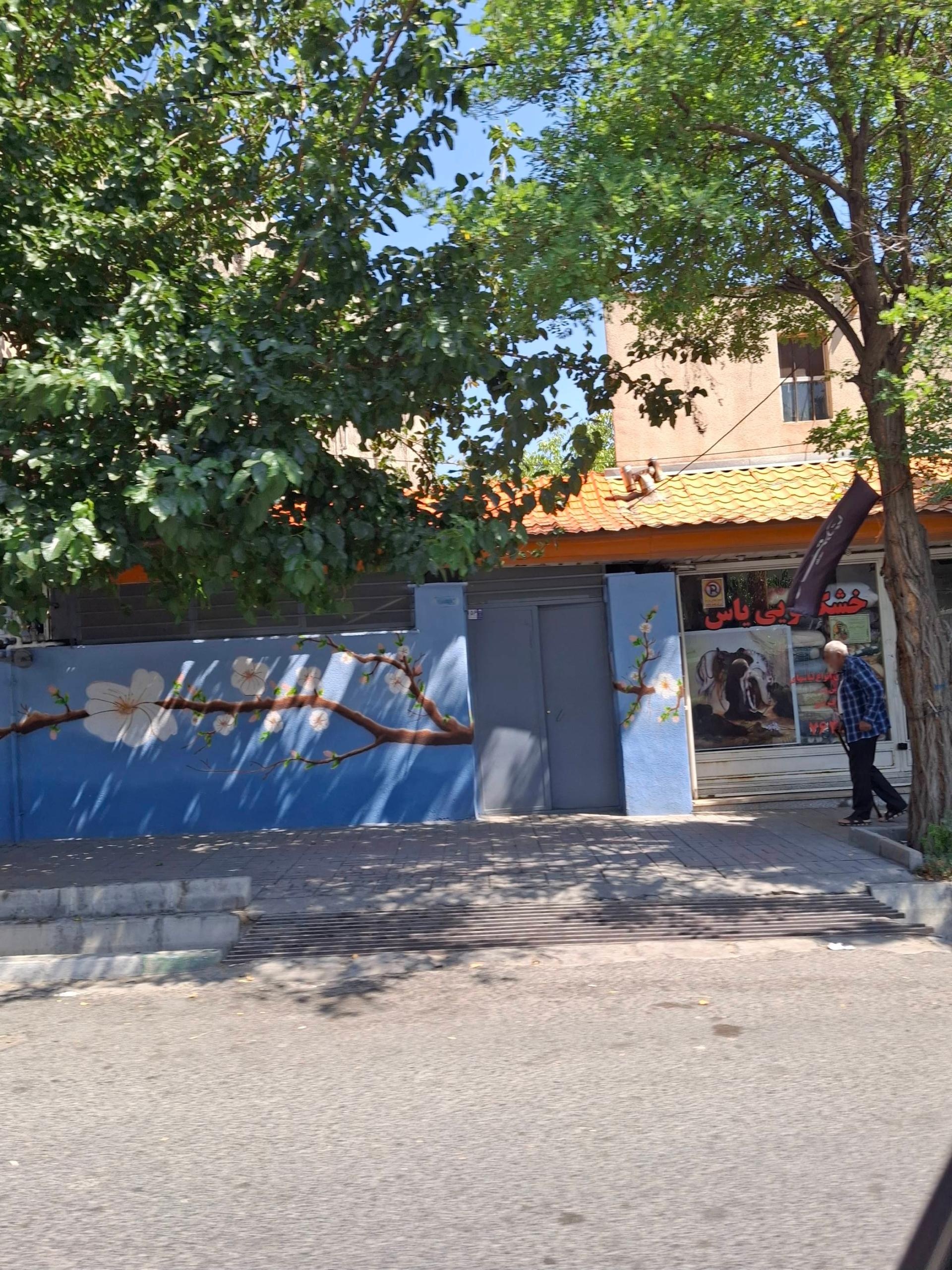 عکس خشکشوئی یاس