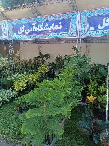 فروشگاه آس گل 