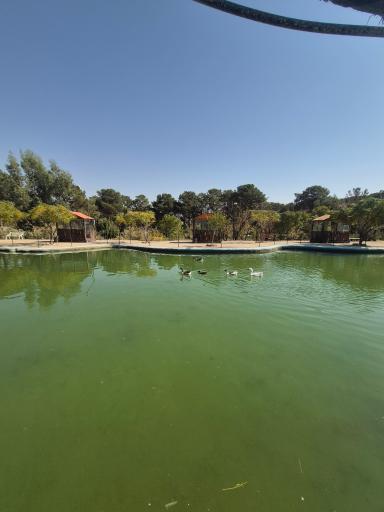 عکس کافه جنگلی