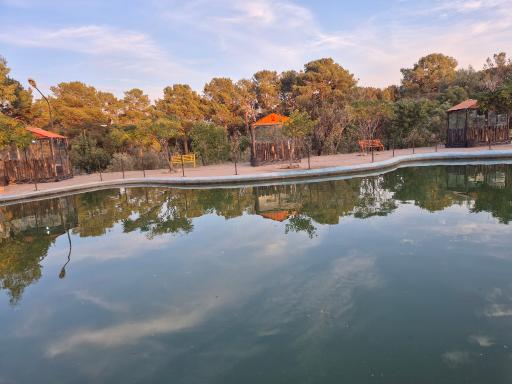 عکس کافه جنگلی