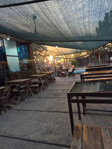 عکس کافه جنگلی