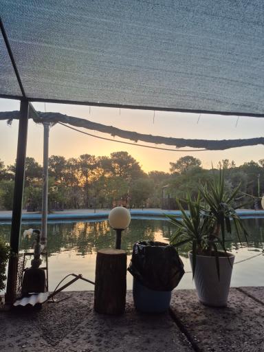 عکس کافه جنگلی