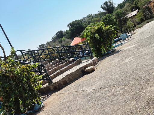 عکس کافه جنگلی