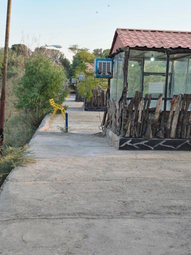 عکس کافه جنگلی