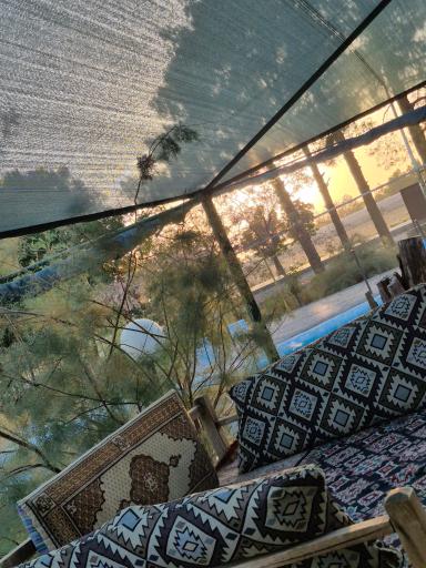 عکس کافه جنگلی