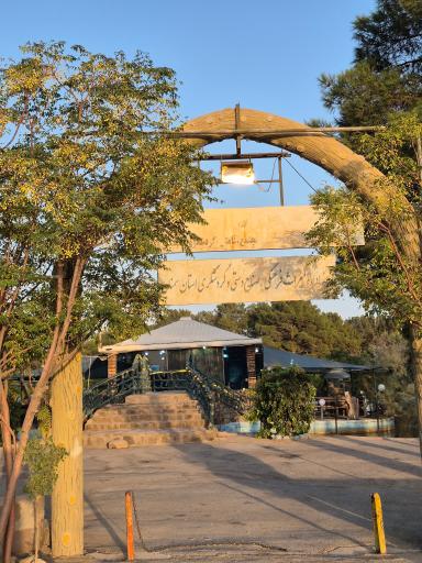 عکس کافه جنگلی