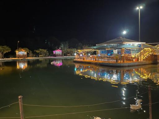 عکس کافه جنگلی