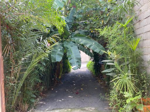 عکس خانه مسافر کوچکسرا