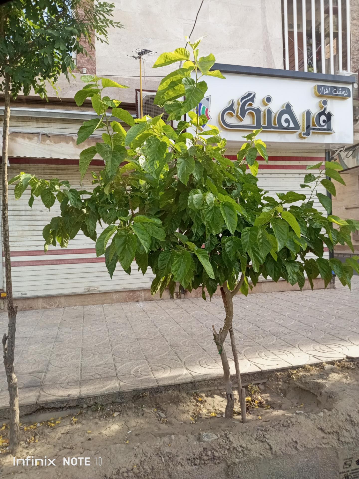 عکس لوازم التحریر فرهنگ