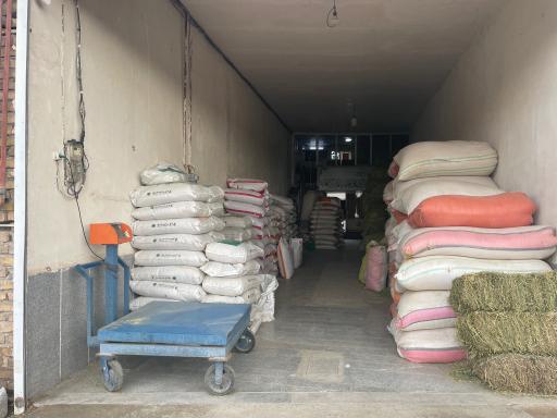 عکس گهر دانه شرق