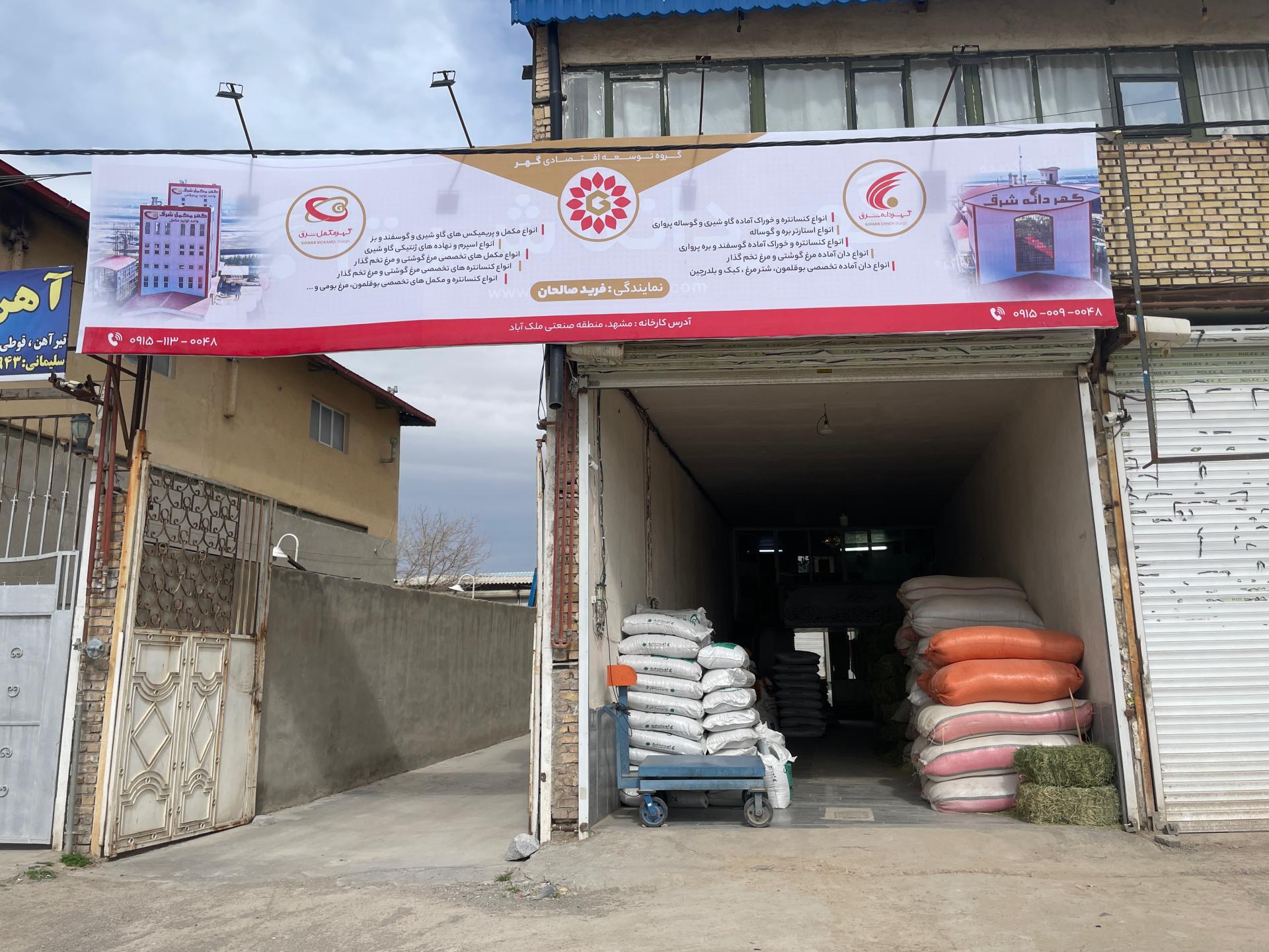 عکس گهر دانه شرق