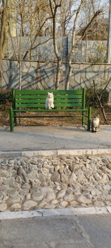 عکس بوستان نفس