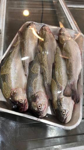 گوشت گلستان