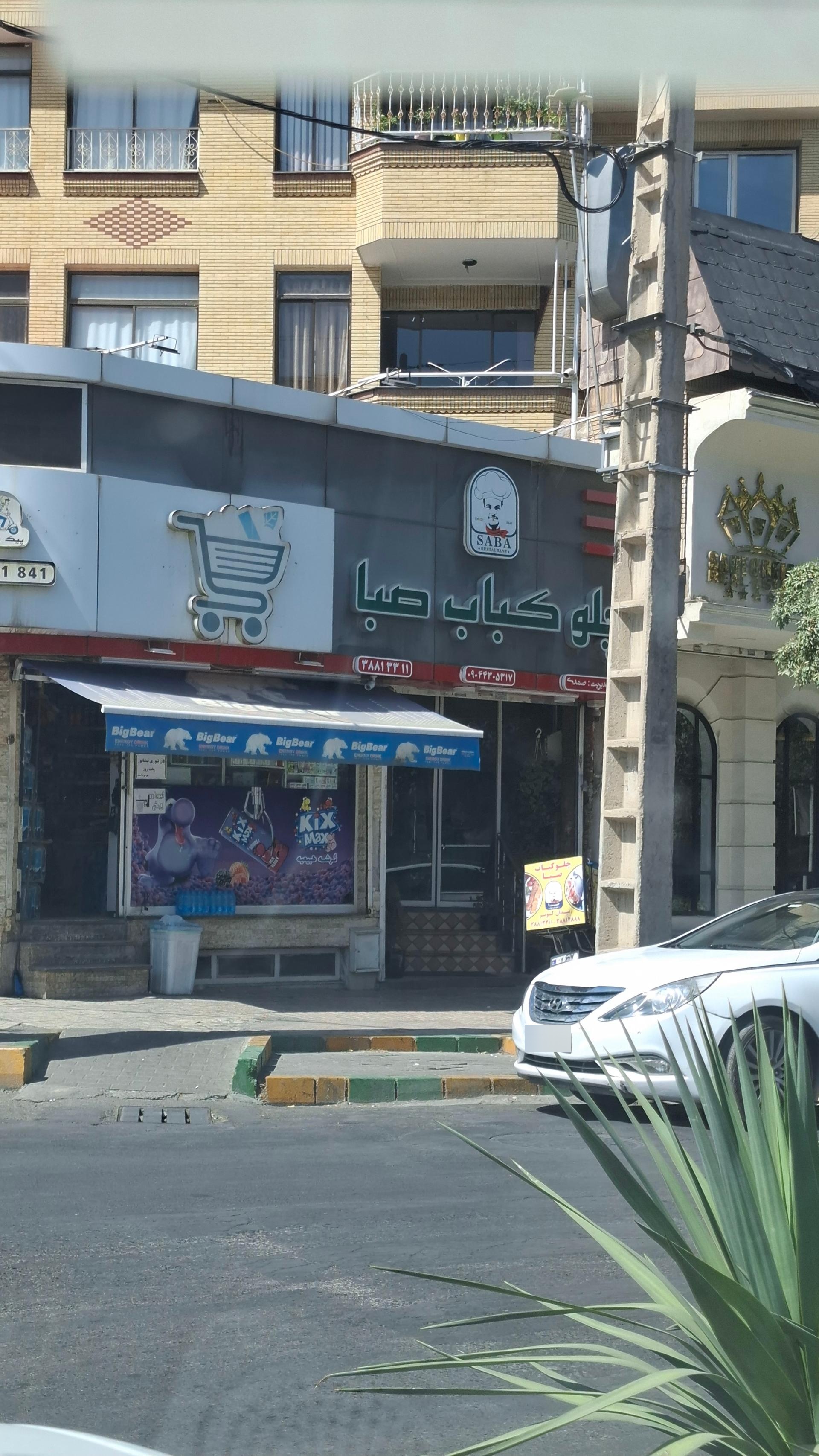 عکس چلوکباب صبا