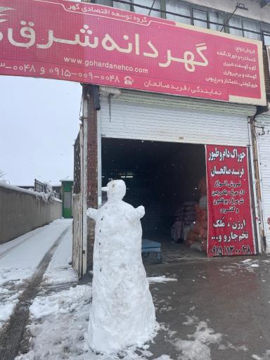 عکس گهر دانه شرق