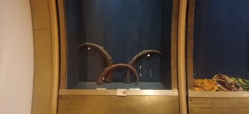 عکس موزه موسیقی تهران