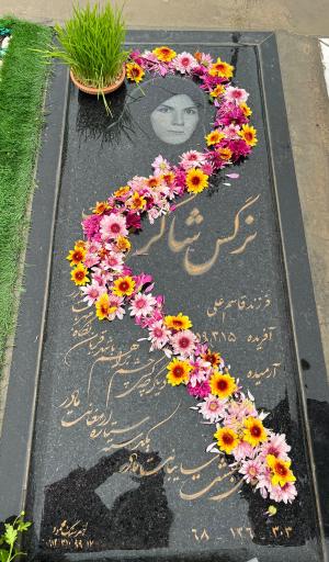عکس قطعه 303