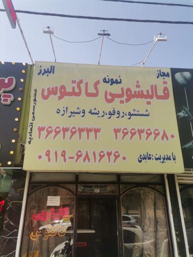 عکس قالیشویی نمونه کاکتوس البرز