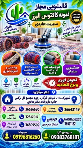 عکس قالیشویی نمونه کاکتوس البرز