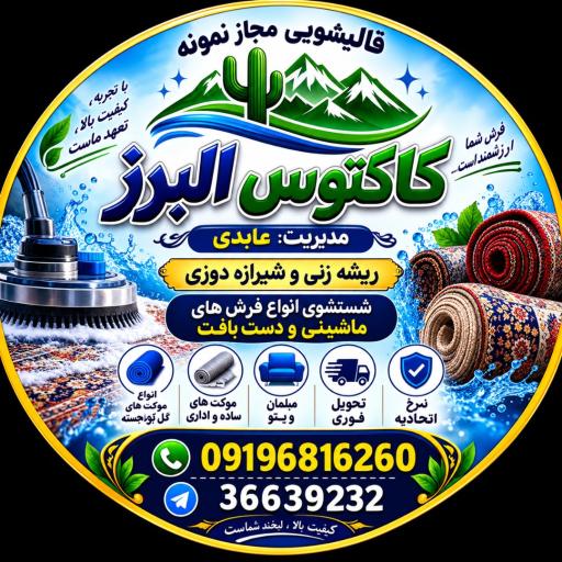 عکس قالیشویی نمونه کاکتوس البرز