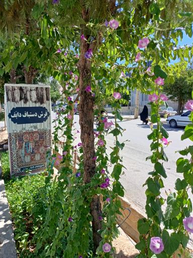 عکس فرش دستباف و مصالح فرش دابف