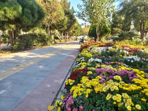 عکس بوستان فردیس