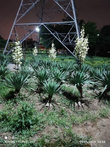 عکس بوستان فردیس