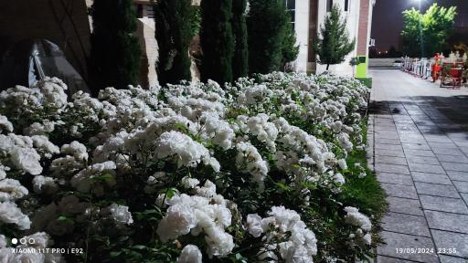 عکس بوستان فردیس