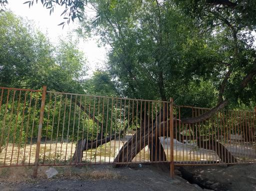 عکس قنات سو