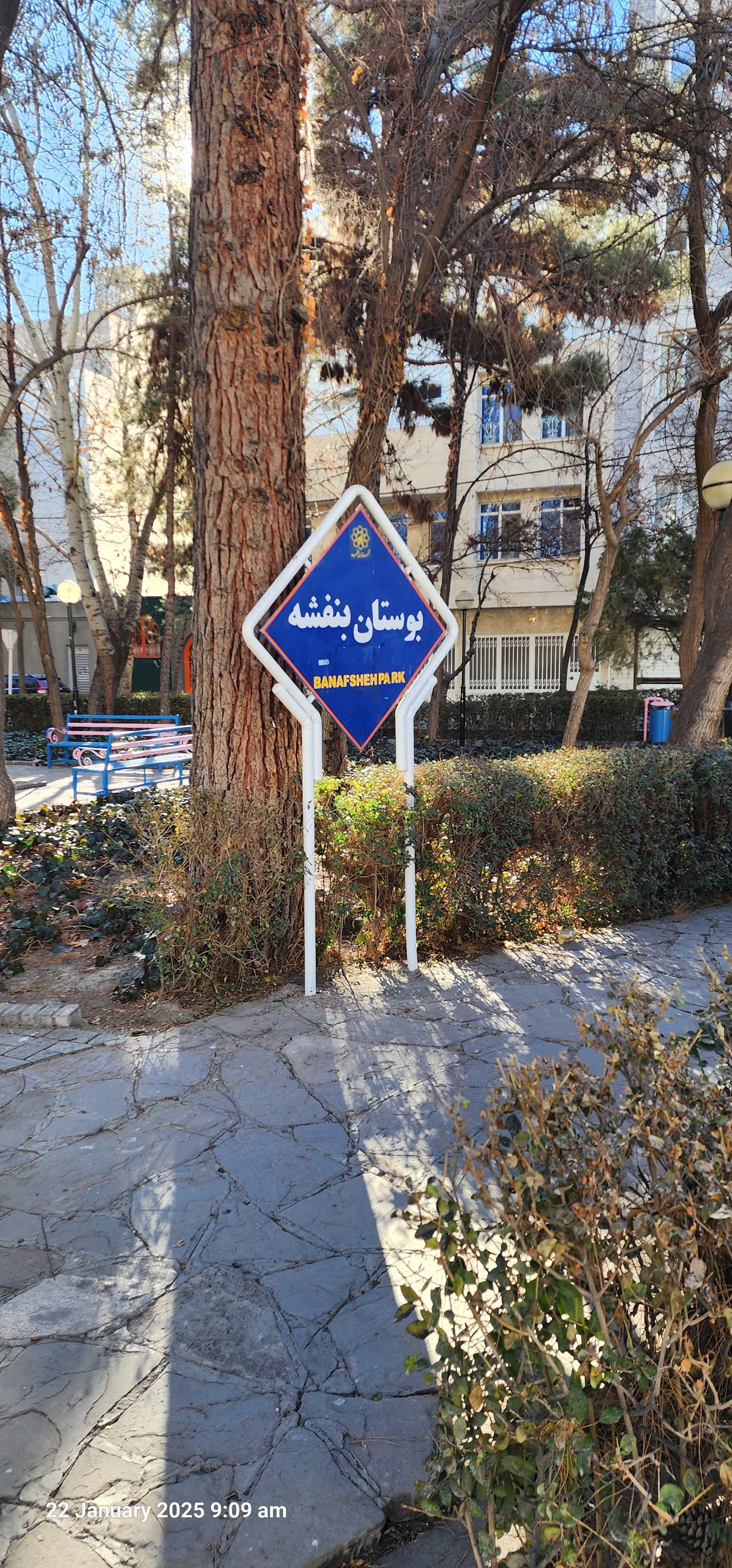 عکس بوستان بنفشه 