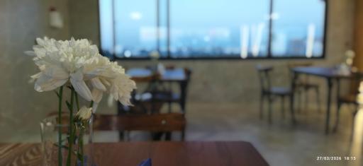عکس رستوران و تهیه غذای پلادونه