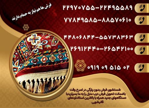 عکس قالیشویی بانوی عمارت 