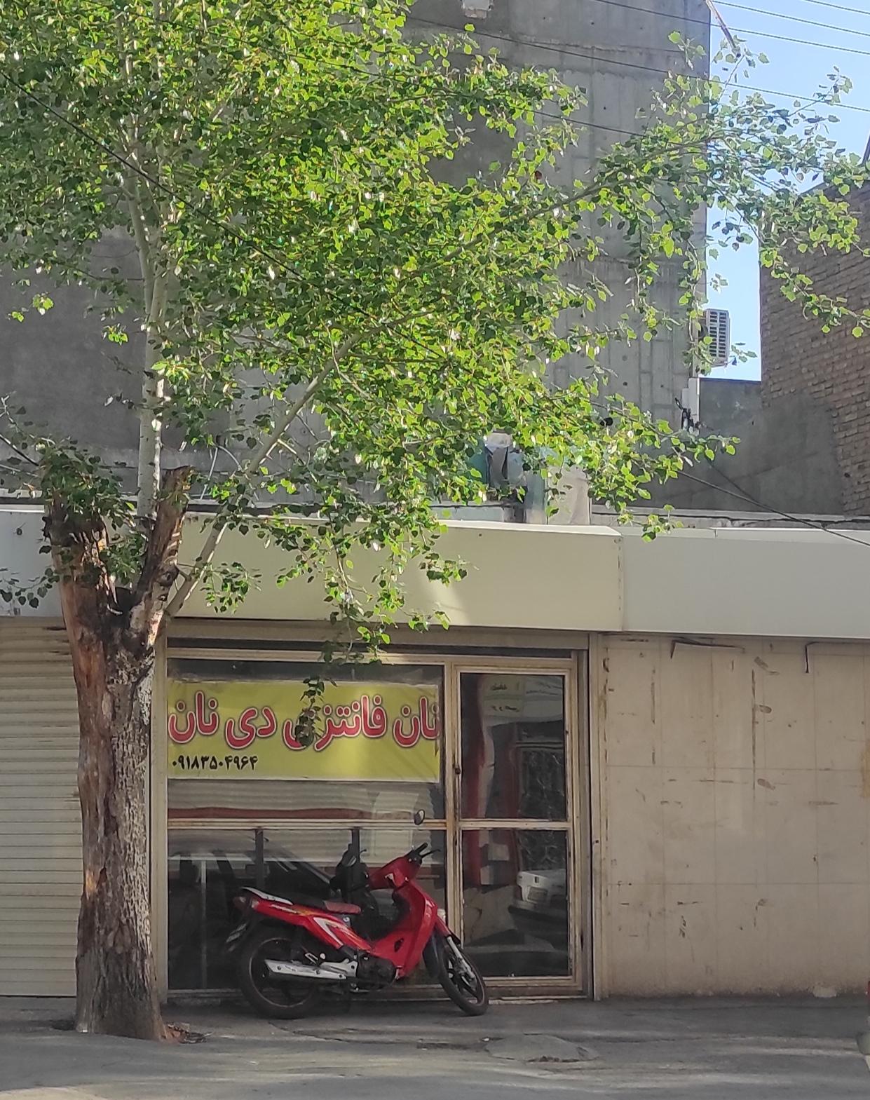 عکس نان فانتزی دی نان