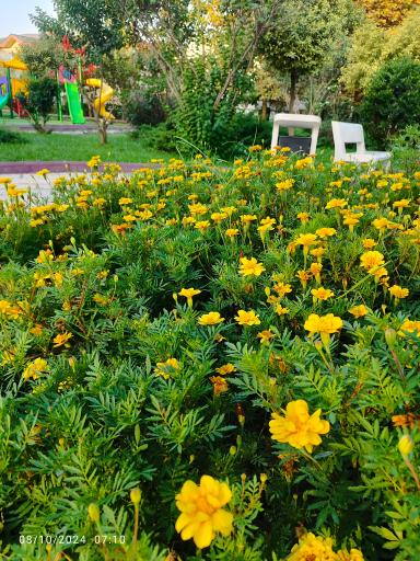 عکس پارک شمس جهان