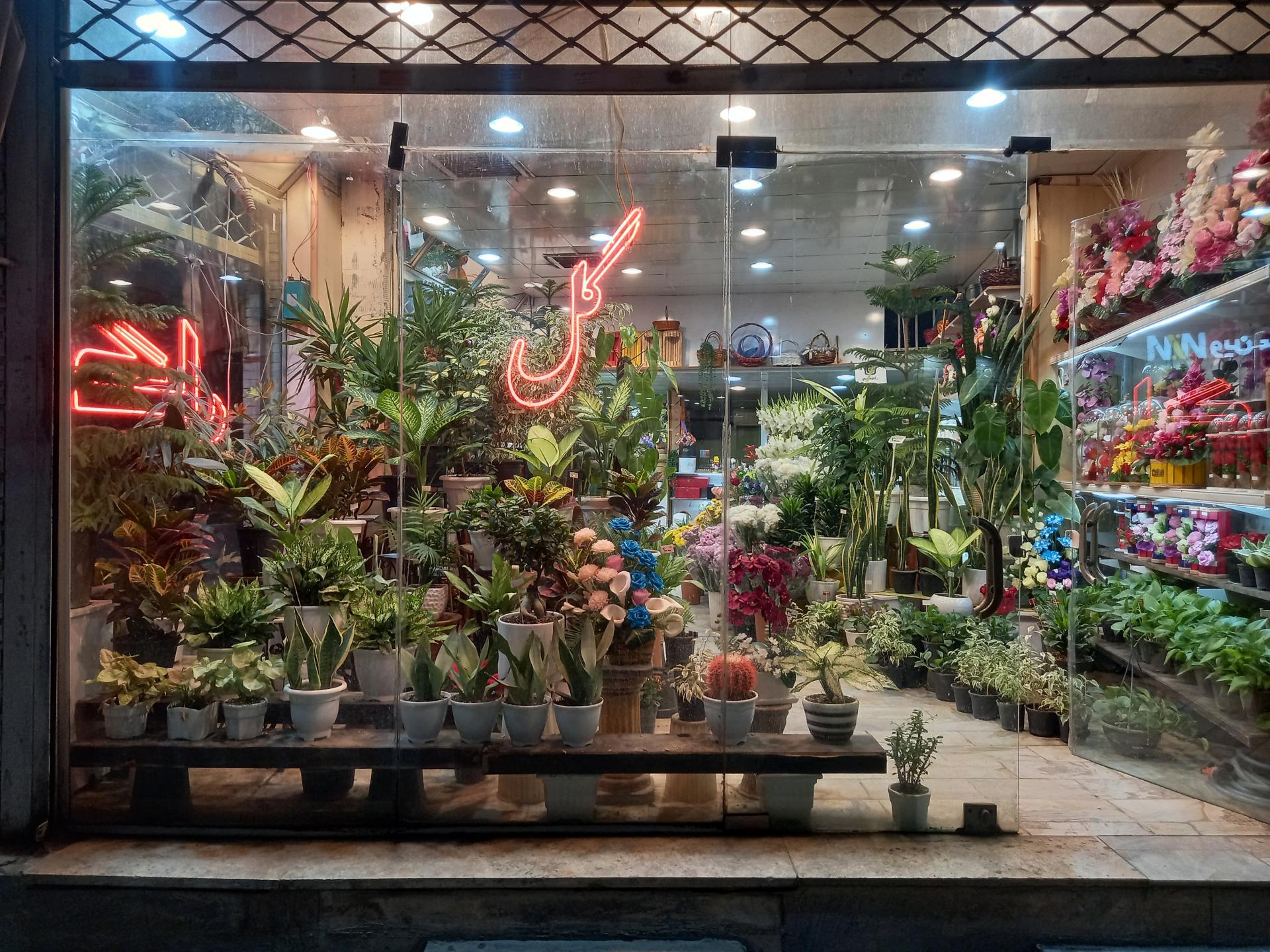 عکس گل فروشی 