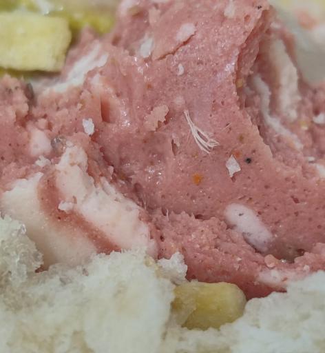 عکس ساندویچ سرد صدف رضوان