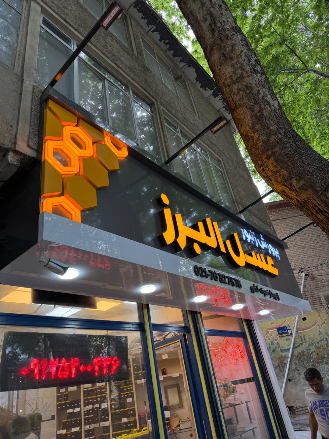 عکس پرورش زنبور عسل البرز