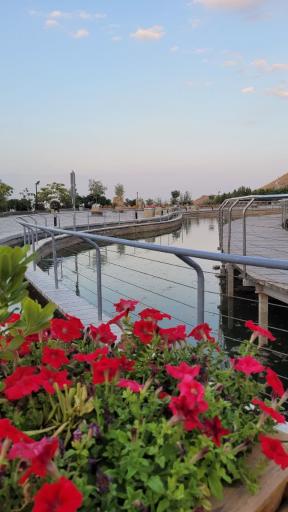 عکس پارک کوهشار