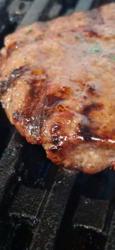 فست فود شاکو 