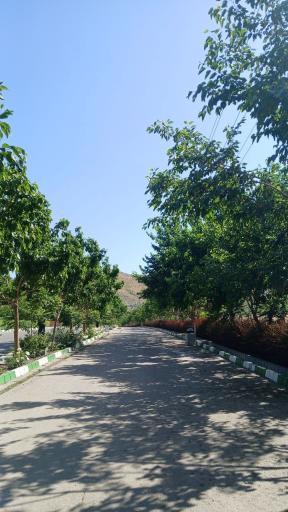 عکس پارک کوهشار