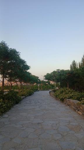 عکس پارک کوهشار