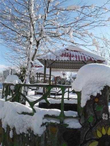 عکس پارک شمس جهان