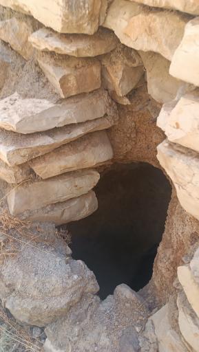 عکس بیستون