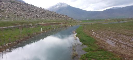 عکس بیستون