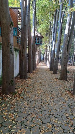 عکس یخچال طبیعی چمارسرا