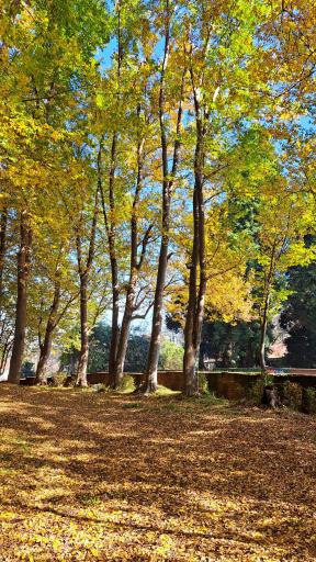 عکس یخچال طبیعی چمارسرا