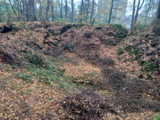 عکس یخچال طبیعی چمارسرا