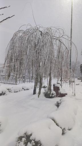 عکس یخچال طبیعی چمارسرا