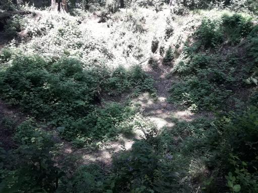 عکس یخچال طبیعی چمارسرا